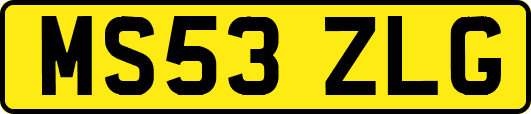 MS53ZLG