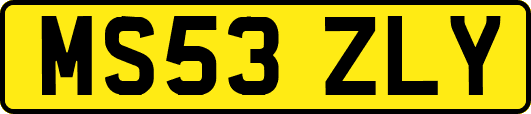 MS53ZLY