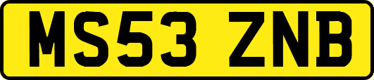 MS53ZNB
