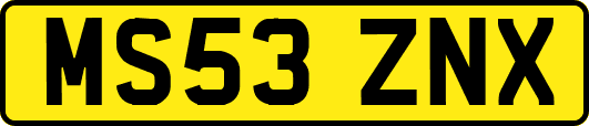 MS53ZNX