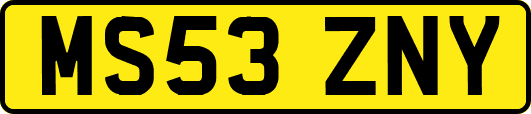 MS53ZNY