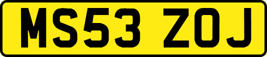 MS53ZOJ