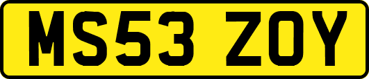 MS53ZOY