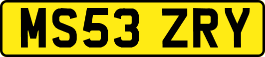 MS53ZRY