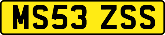 MS53ZSS