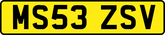 MS53ZSV