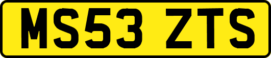 MS53ZTS