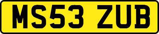 MS53ZUB