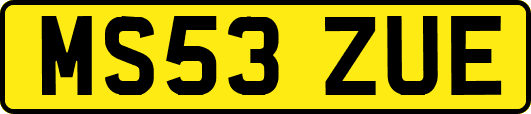 MS53ZUE