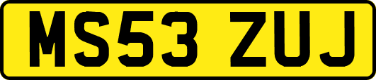 MS53ZUJ