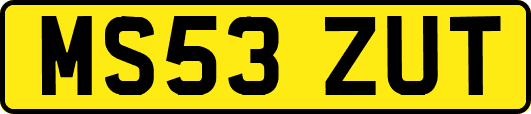 MS53ZUT