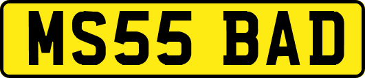 MS55BAD