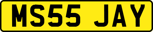 MS55JAY