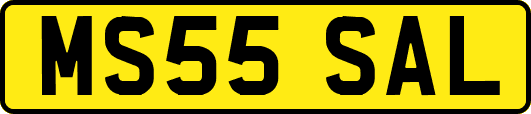 MS55SAL