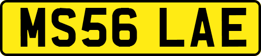 MS56LAE