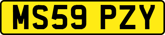 MS59PZY
