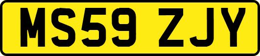 MS59ZJY