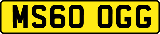 MS60OGG