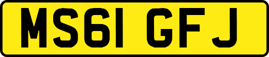 MS61GFJ