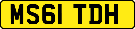 MS61TDH