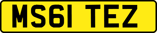 MS61TEZ