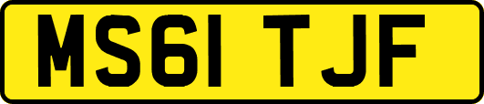 MS61TJF