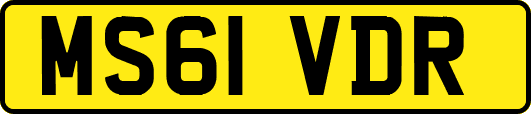 MS61VDR