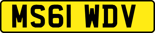 MS61WDV