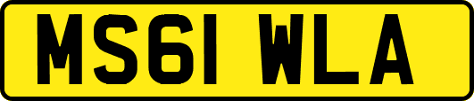 MS61WLA