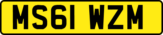 MS61WZM
