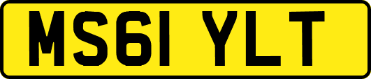 MS61YLT