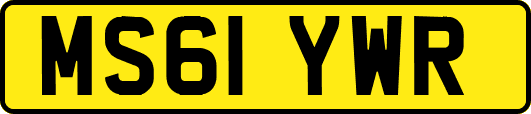 MS61YWR