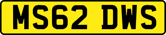 MS62DWS