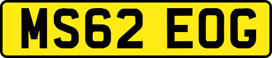 MS62EOG