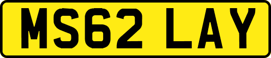 MS62LAY