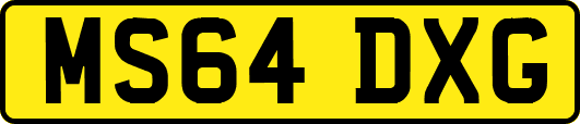 MS64DXG