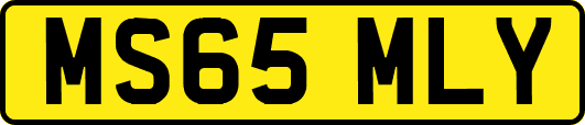 MS65MLY