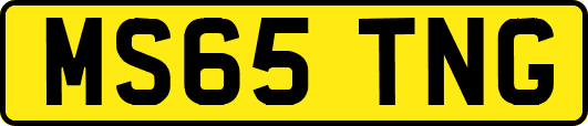 MS65TNG