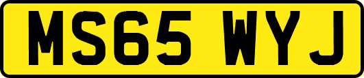 MS65WYJ