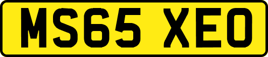 MS65XEO