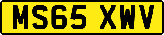 MS65XWV