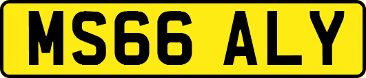 MS66ALY