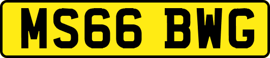 MS66BWG