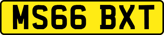 MS66BXT