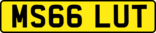 MS66LUT