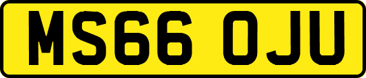 MS66OJU