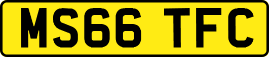 MS66TFC