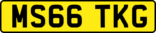 MS66TKG