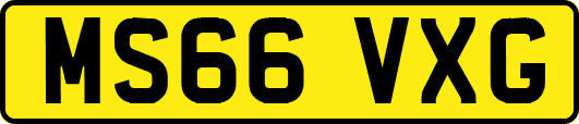 MS66VXG