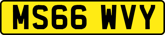 MS66WVY
